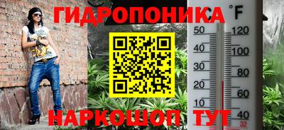 ECSTASY Севастополь