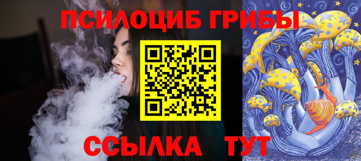Галлюциногенные грибы MAGIC MUSHROOMS  где можно купить наркотик  Вход с VPN  Новодвинск  Галлюциногенные грибы GOLDEN TEACHER 