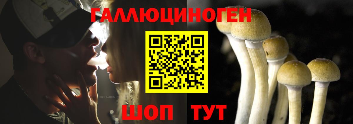 Галлюциногенные грибы прущие грибы Новодвинск